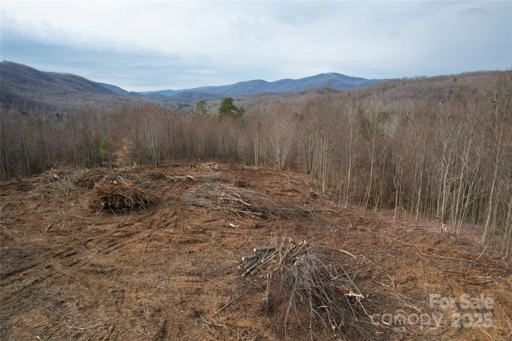 55 Major Mountain Road Black Mountain, NC 28711