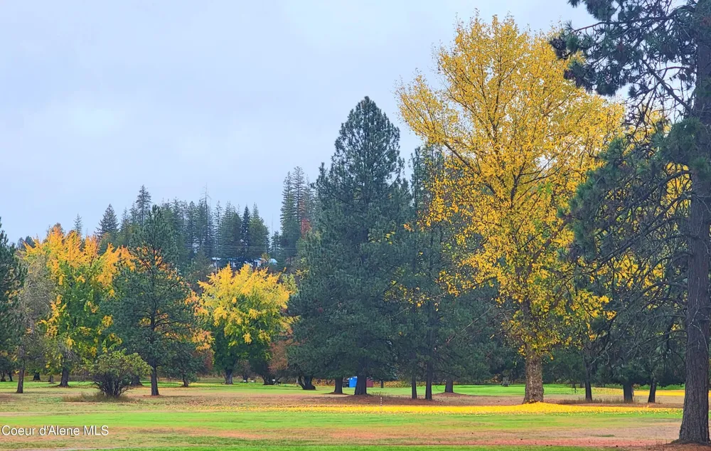 301 Woodland Drive Pinehurst, ID 83850