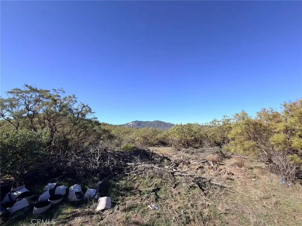 Glenda Anza, CA 92539