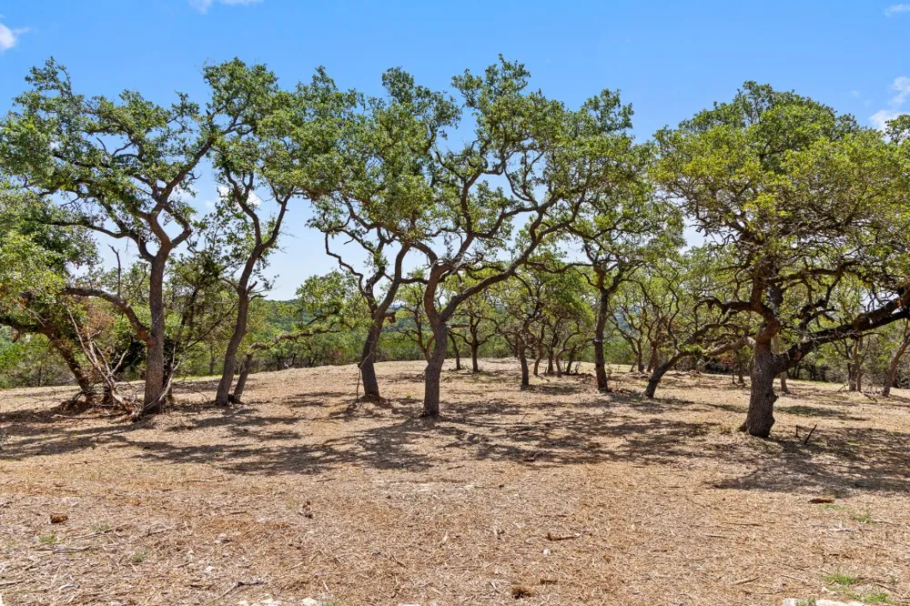 9475 FM 32, Lot 9 Fischer, TX 78623