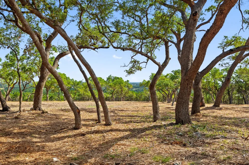 9475 FM 32, Lot 9 Fischer, TX 78623