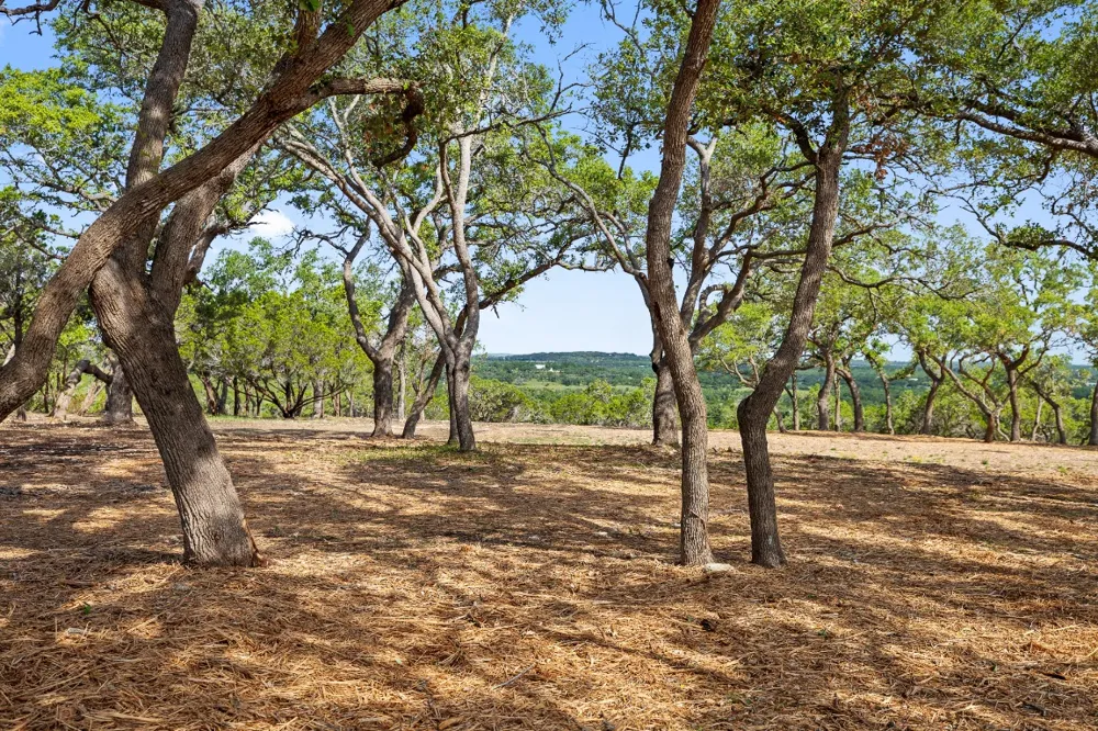 9475 FM 32, Lot 9 Fischer, TX 78623