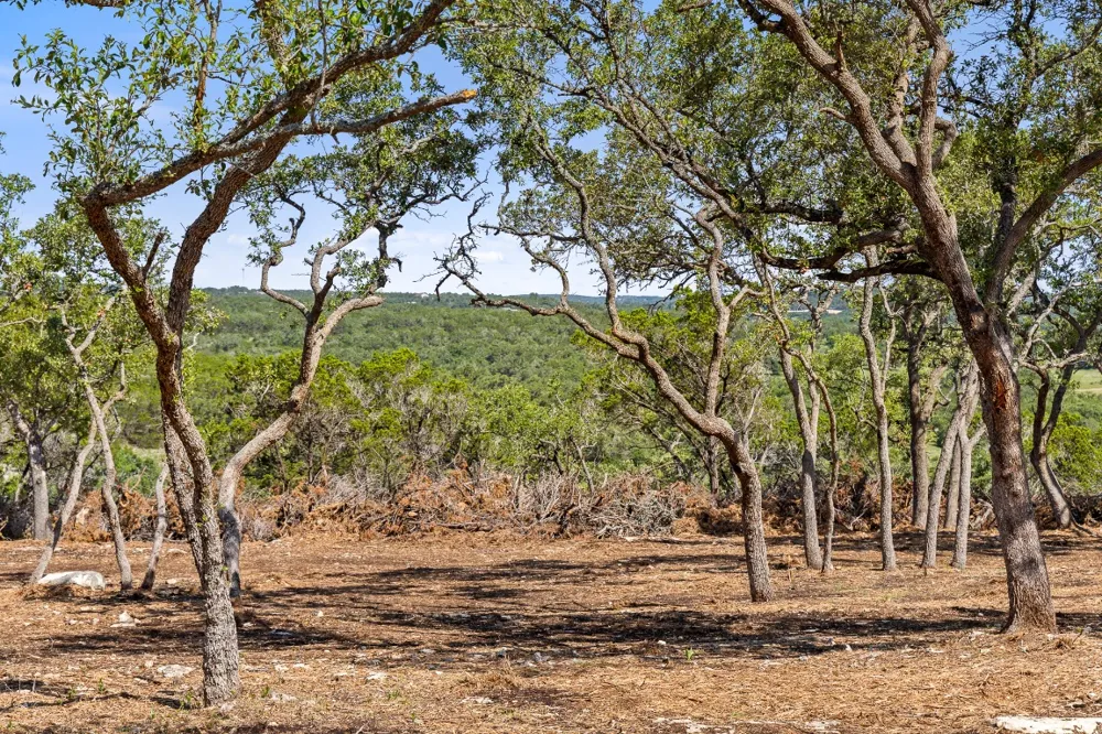 9475 FM 32, Lot 15 Fischer, TX 78623