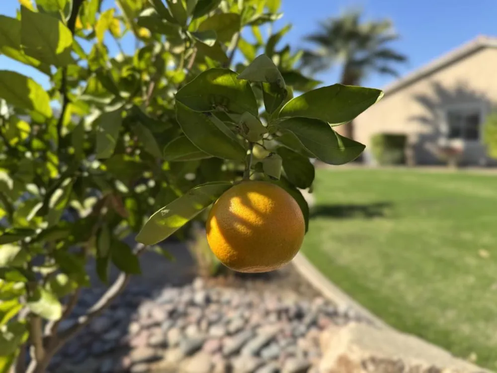 80372 Camino San Lucas Indio, CA 92203