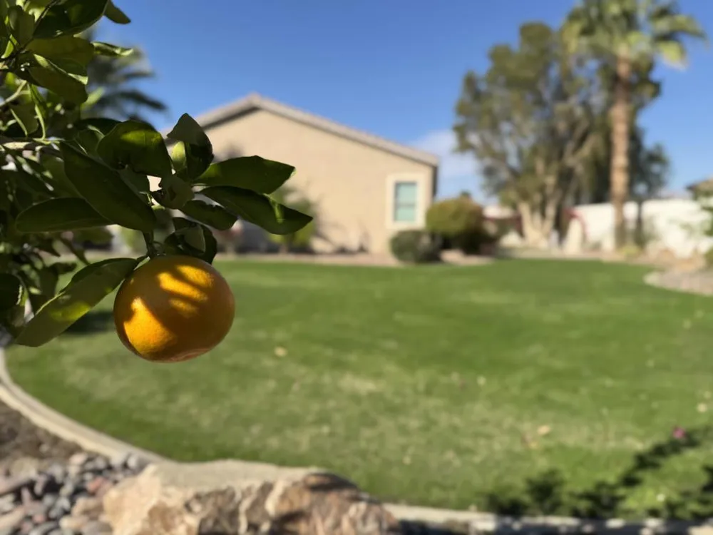 80372 Camino San Lucas Indio, CA 92203