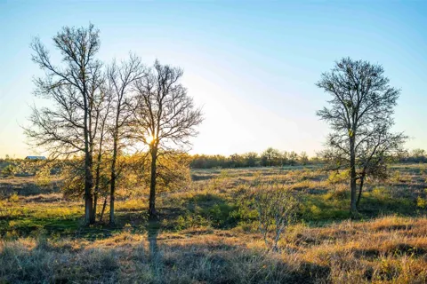 3191 County Road 463