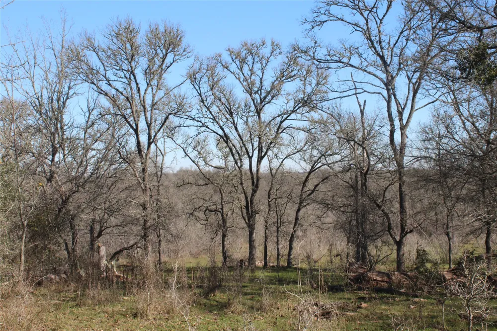 1223 County Road 429 Dime Box, TX 77853