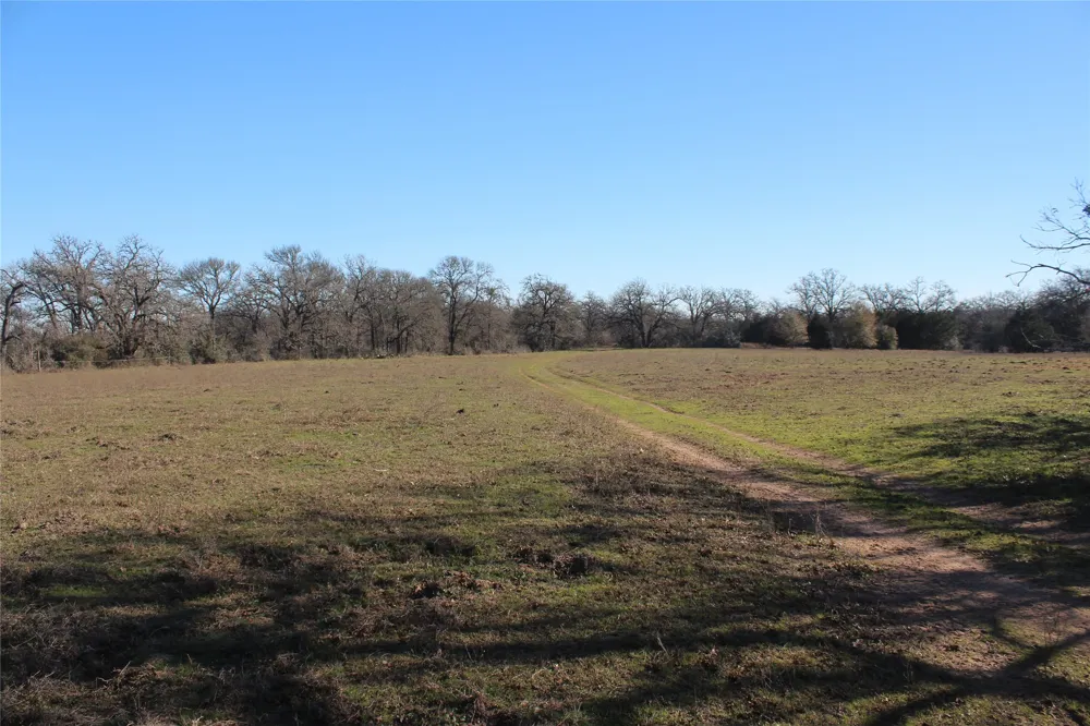 1223 County Road 429 Dime Box, TX 77853