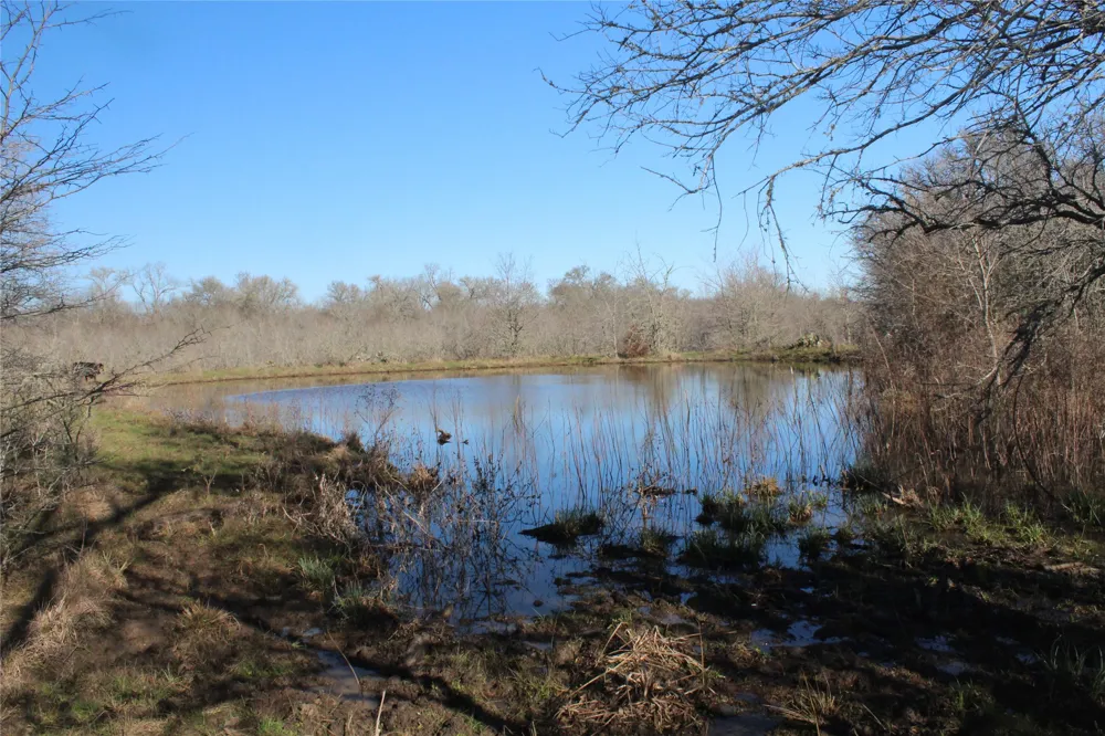 1223 County Road 429 Dime Box, TX 77853