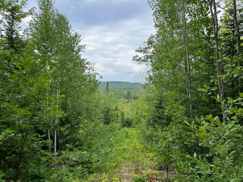 86640 South Pratt Road Bayfield, WI 54814