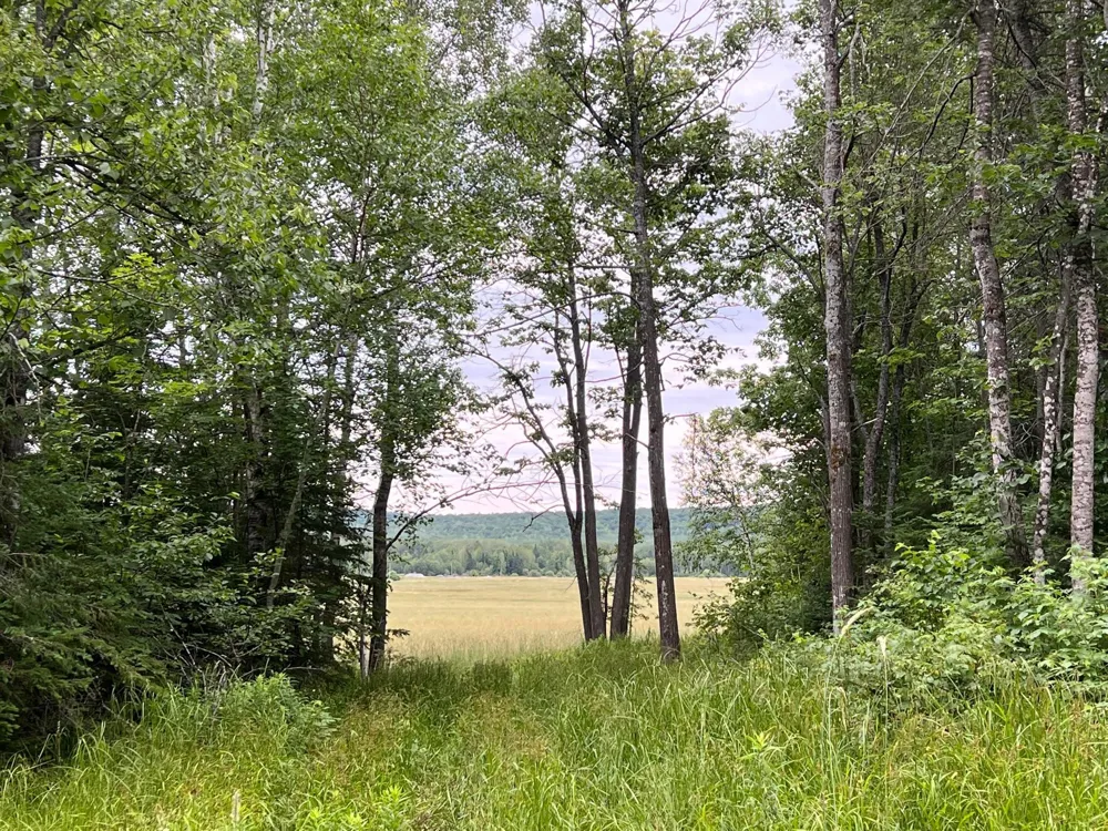 86640 South Pratt Road Bayfield, WI 54814