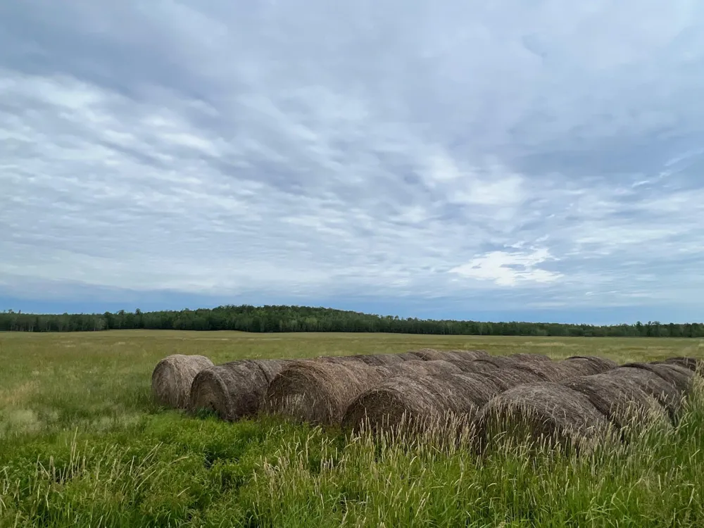 86640 South Pratt Road Bayfield, WI 54814