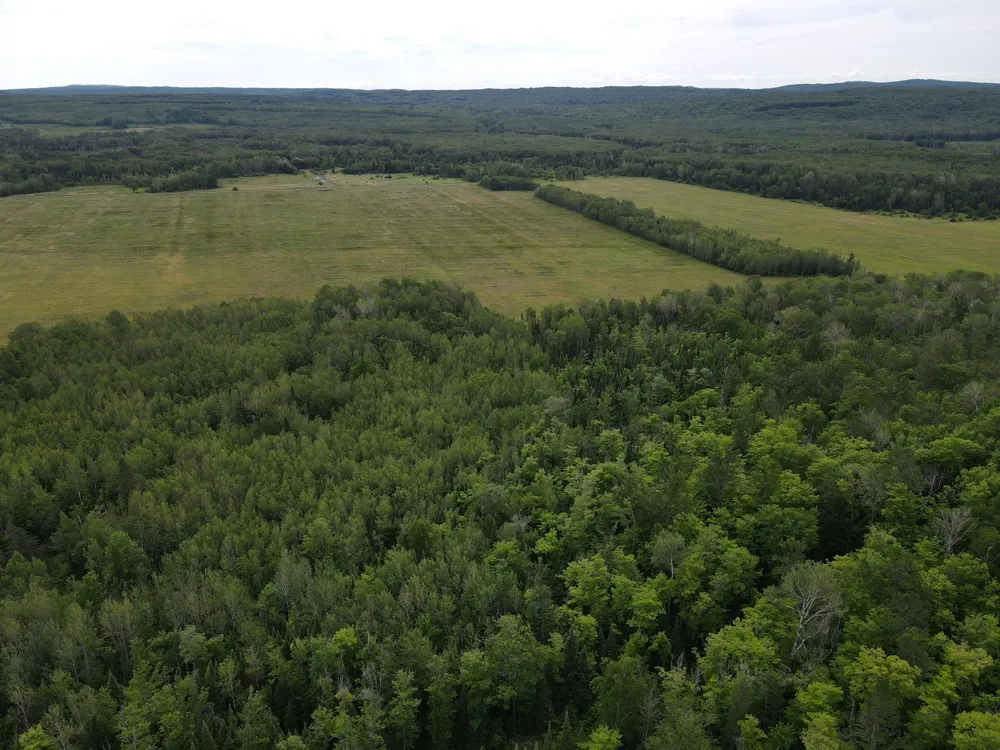 86640 South Pratt Road Bayfield, WI 54814