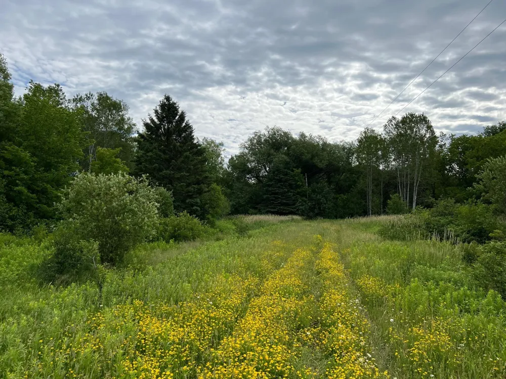 86640 South Pratt Road Bayfield, WI 54814