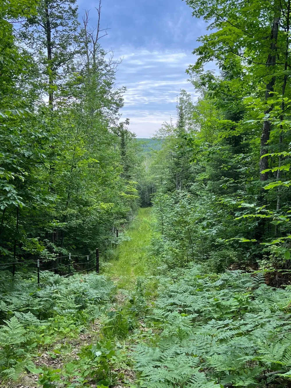 86640 South Pratt Road Bayfield, WI 54814