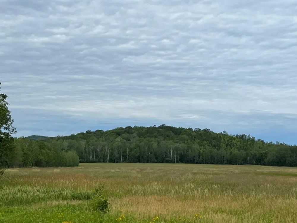 86640 South Pratt Road Bayfield, WI 54814