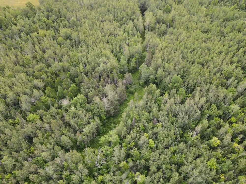 86640 South Pratt Road Bayfield, WI 54814