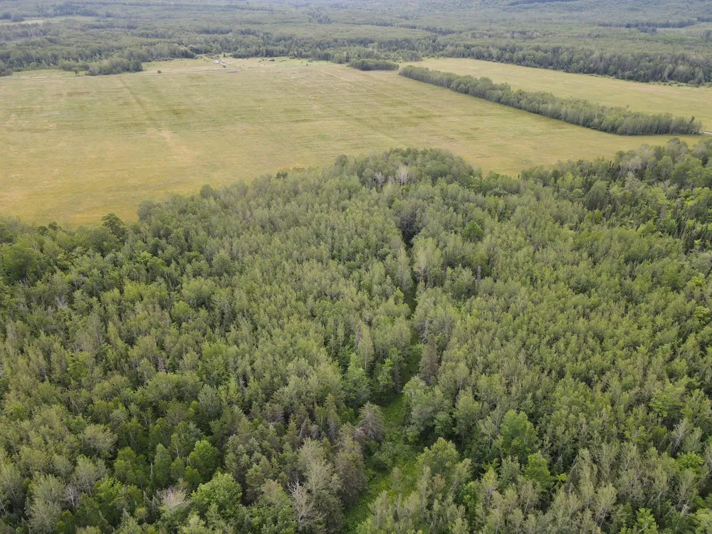 86640 South Pratt Road Bayfield, WI 54814