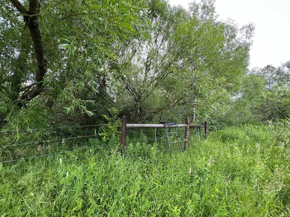 86640 South Pratt Road Bayfield, WI 54814