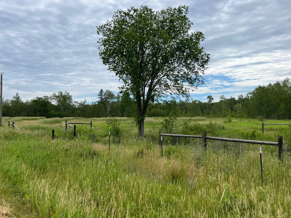 86640 South Pratt Road Bayfield, WI 54814