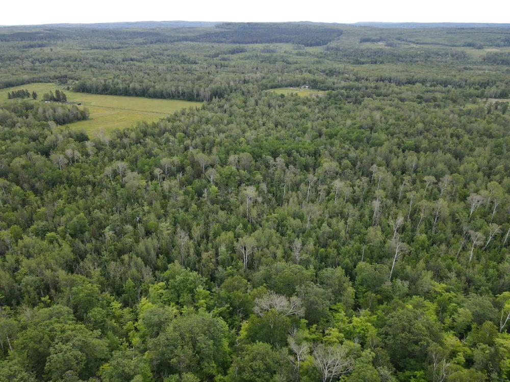 86640 South Pratt Road Bayfield, WI 54814