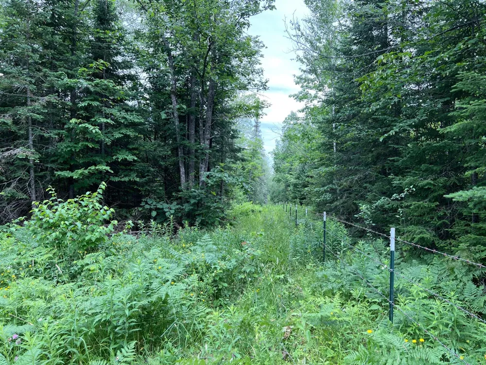 86640 South Pratt Road Bayfield, WI 54814