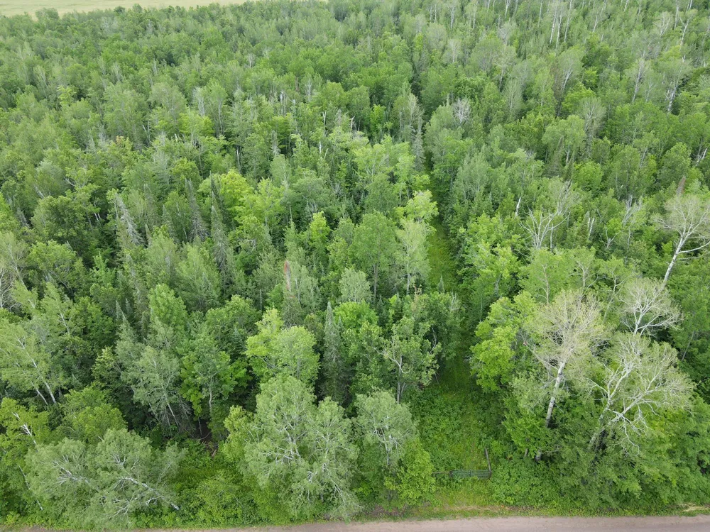 86640 South Pratt Road Bayfield, WI 54814