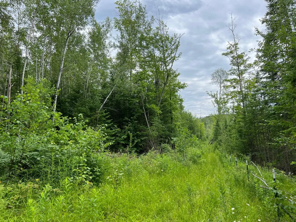 86640 South Pratt Road Bayfield, WI 54814