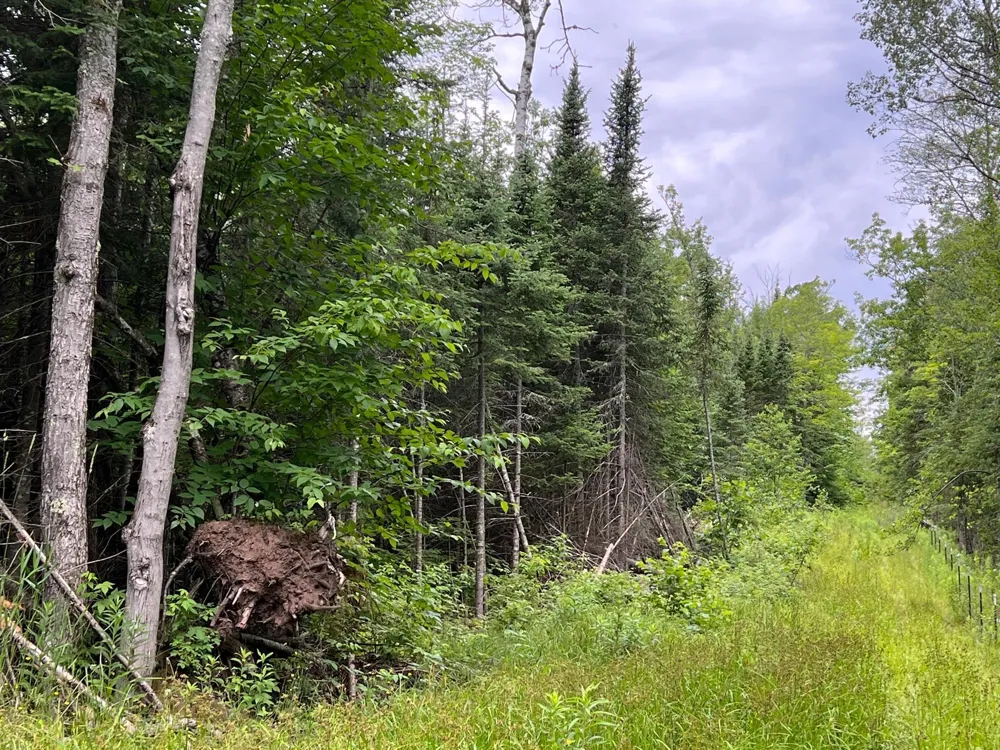 86640 South Pratt Road Bayfield, WI 54814