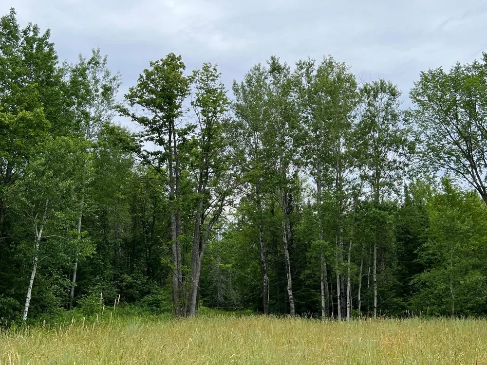 86640 South Pratt Road Bayfield, WI 54814