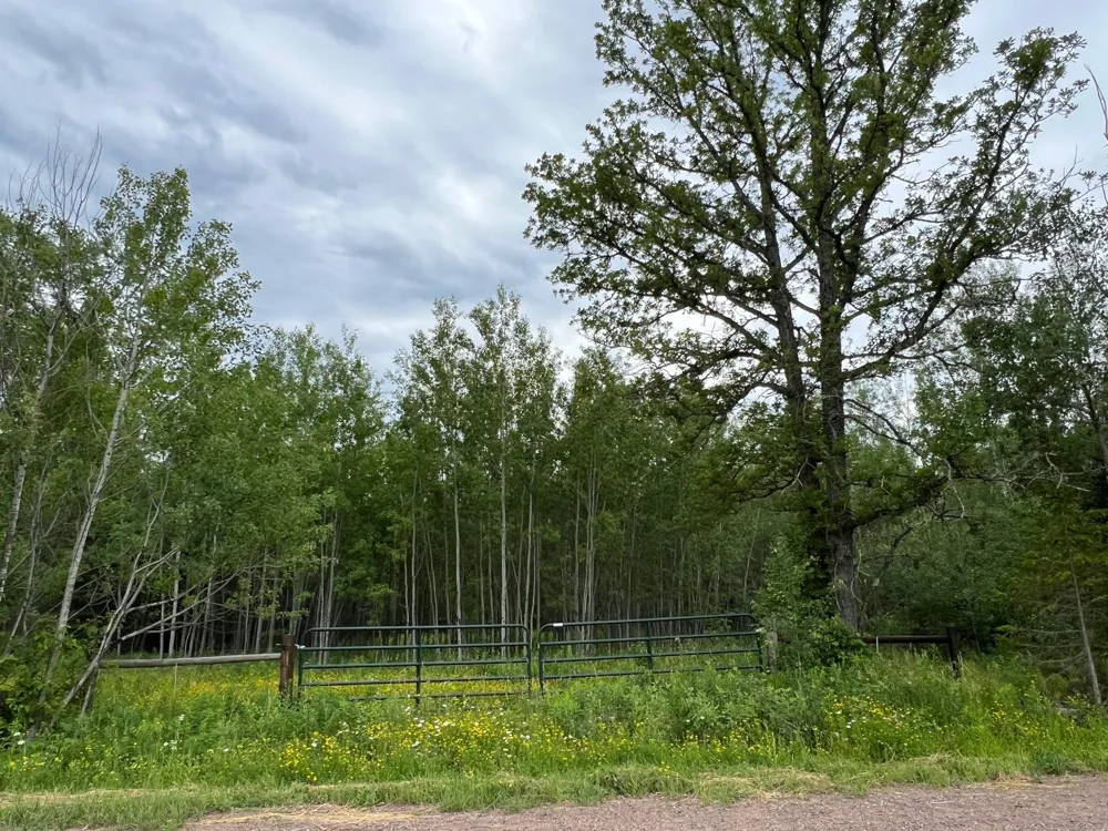 86640 South Pratt Road Bayfield, WI 54814