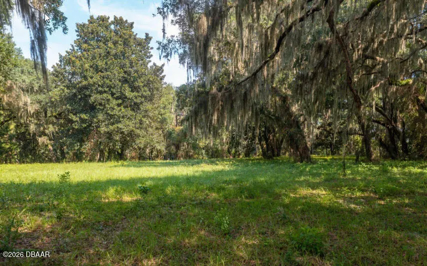 254 Saint Johns Drive Palatka, FL 32177