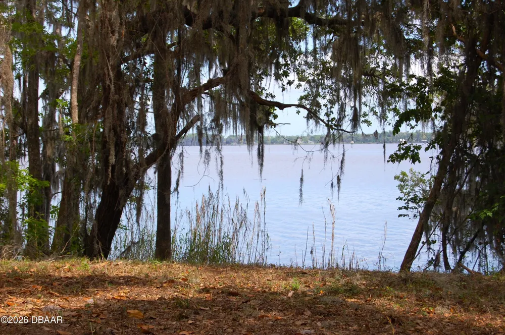 254 Saint Johns Drive Palatka, FL 32177