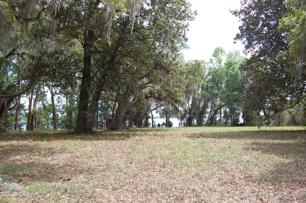 254 Saint Johns Drive Palatka, FL 32177