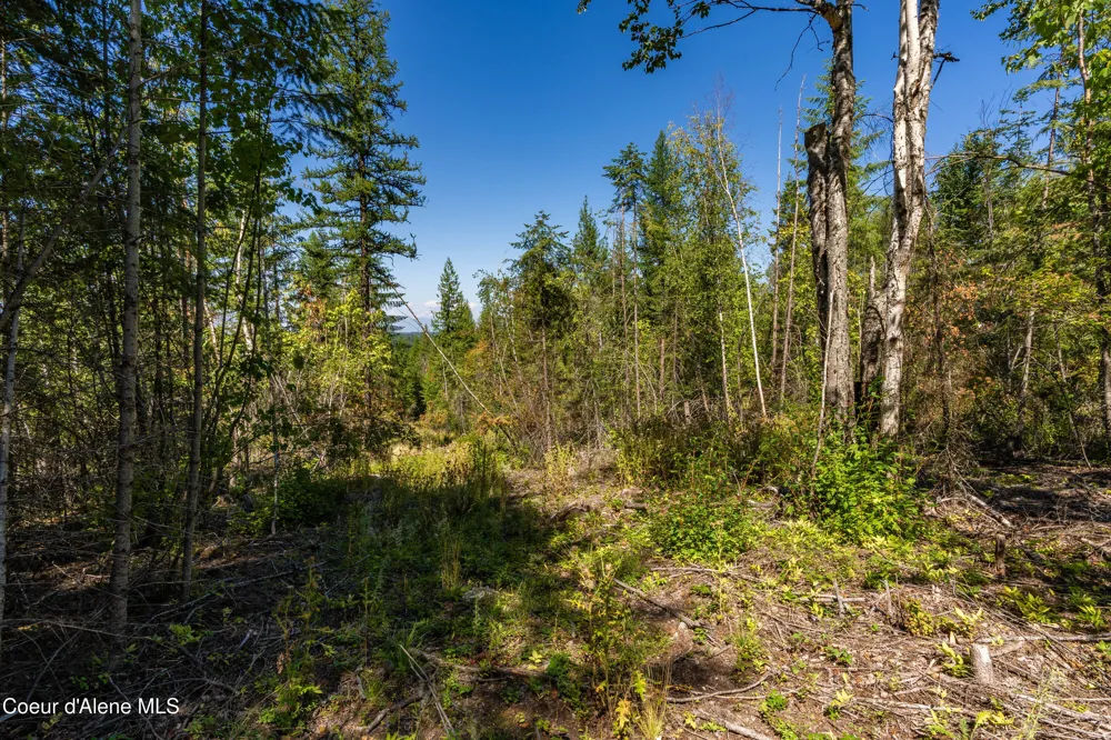 NNA Diamond Road Bonners Ferry, ID 83805
