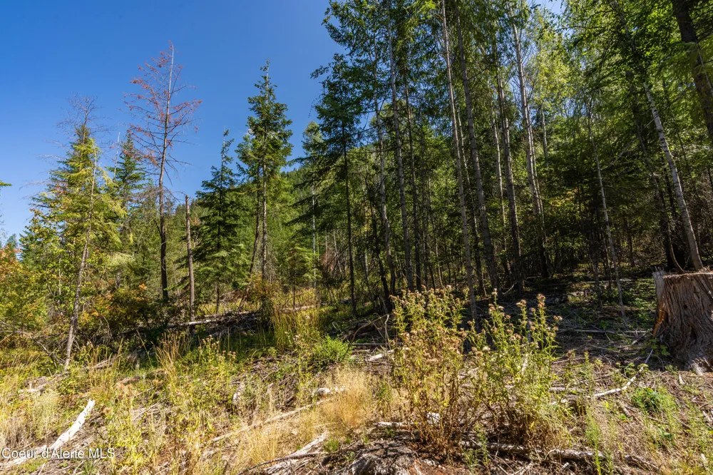 NNA Diamond Road Bonners Ferry, ID 83805