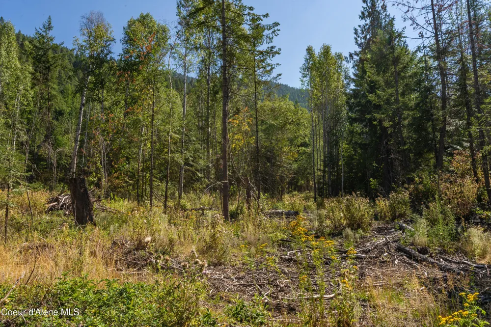 NNA Diamond Road Bonners Ferry, ID 83805