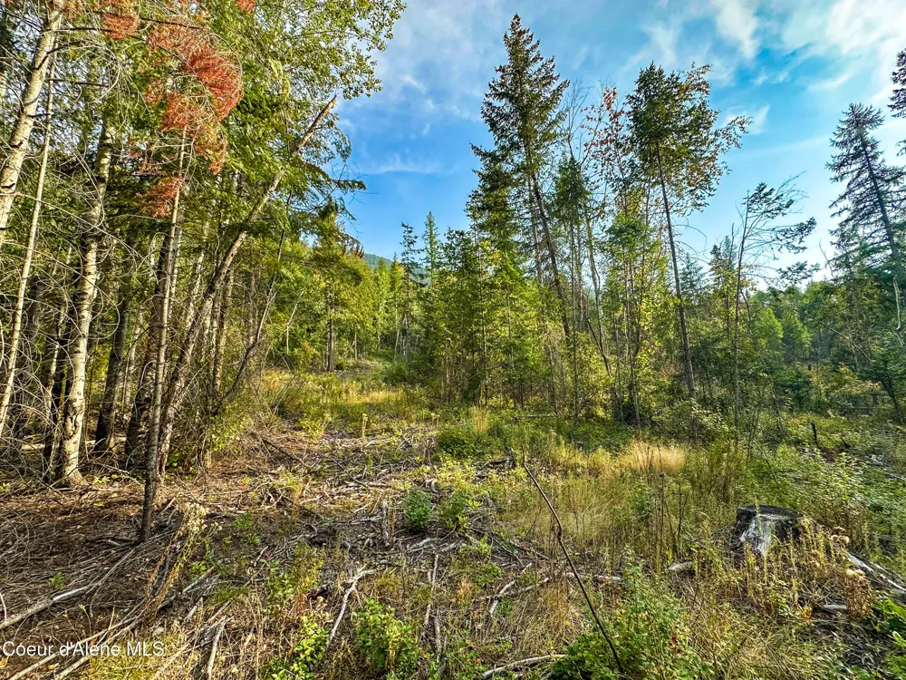 NNA Diamond Road Bonners Ferry, ID 83805