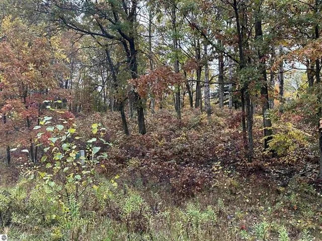Circle E Surrey Township, MI 48622