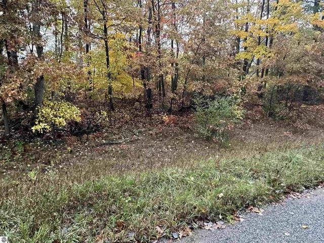 Circle E Surrey Township, MI 48622