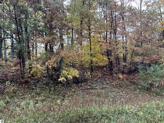 Circle E Surrey Township, MI 48622
