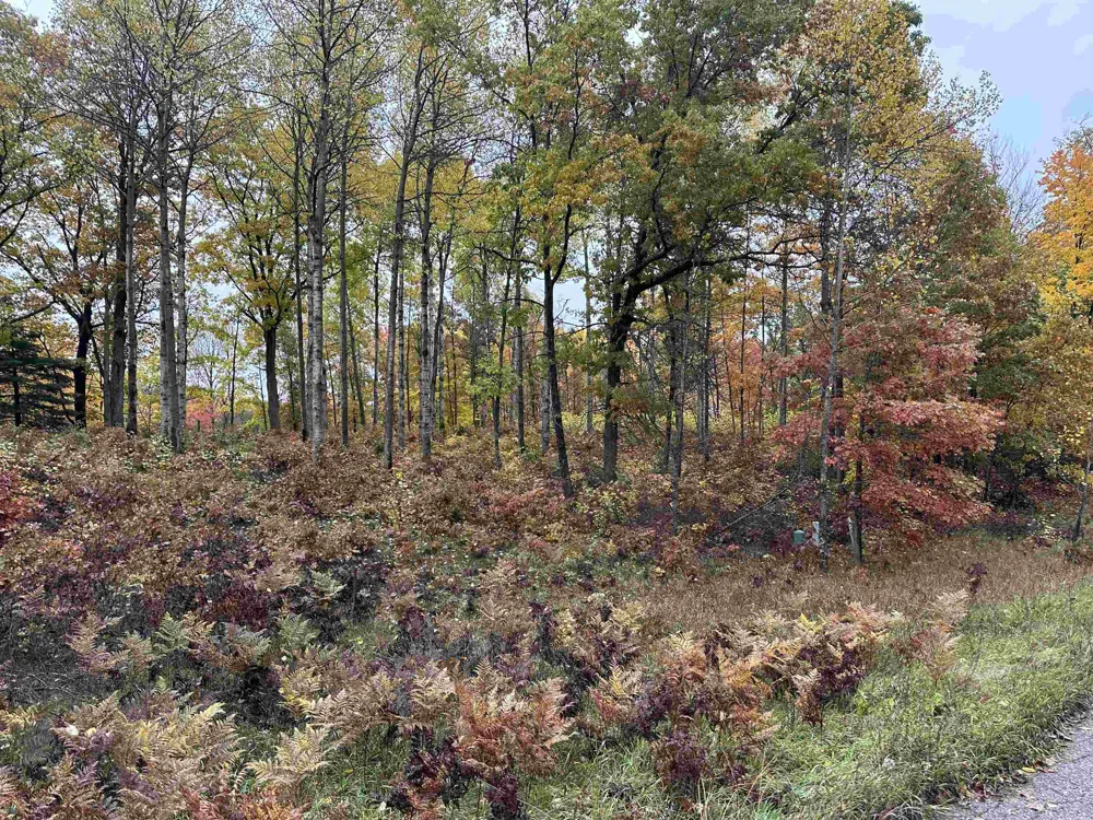 Circle E Surrey Township, MI 48622