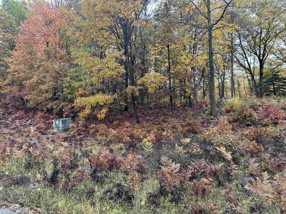 Circle E Surrey Township, MI 48622