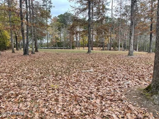 Lot 97 Winfield Lane Pinetown, NC 27865