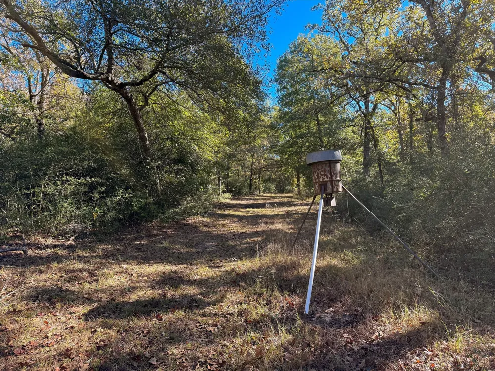 Cr 325 Jewett, TX 75846