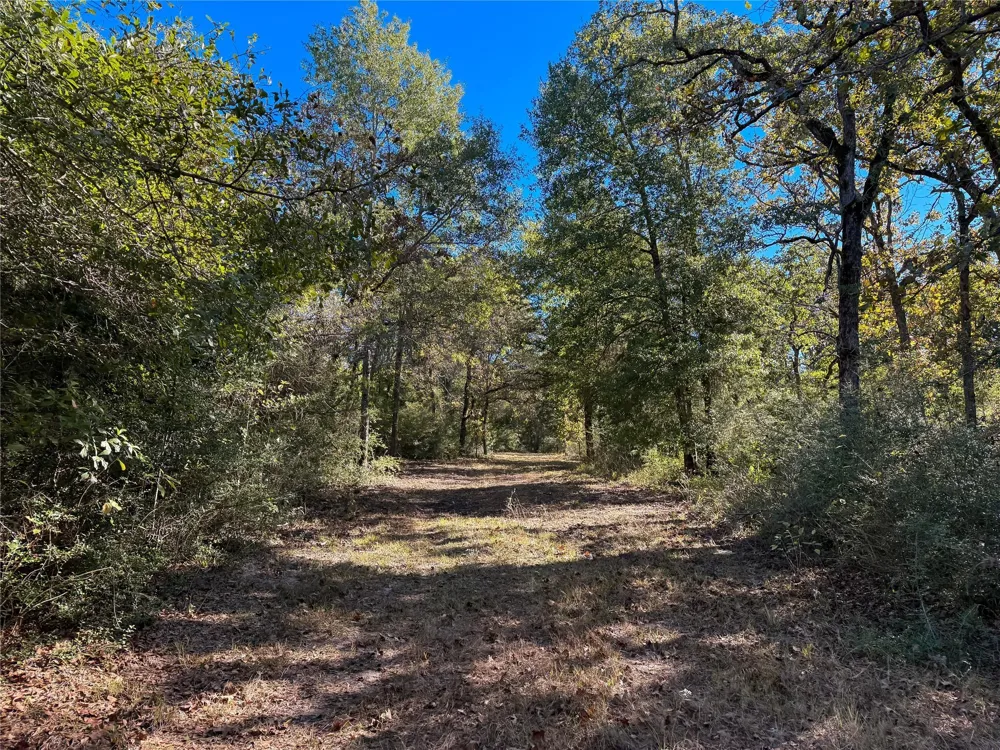 Cr 325 Jewett, TX 75846