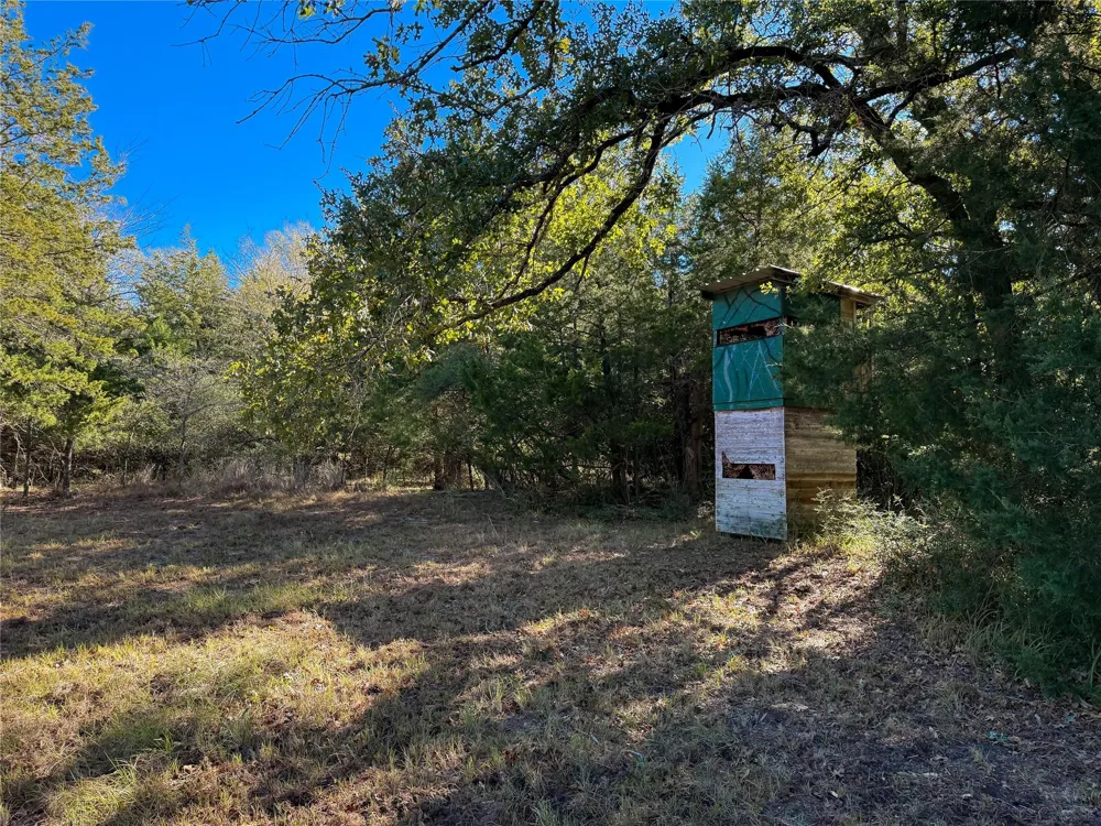 Cr 325 Jewett, TX 75846