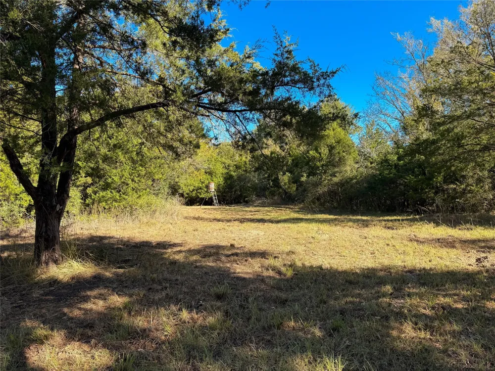 Cr 325 Jewett, TX 75846