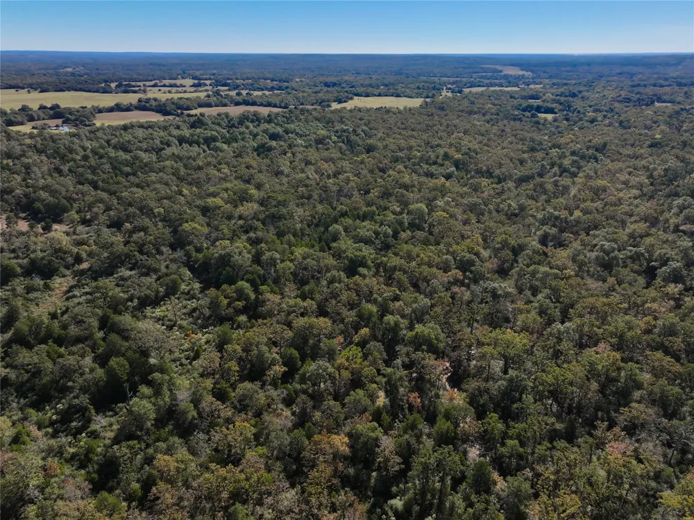 Cr 325 Jewett, TX 75846