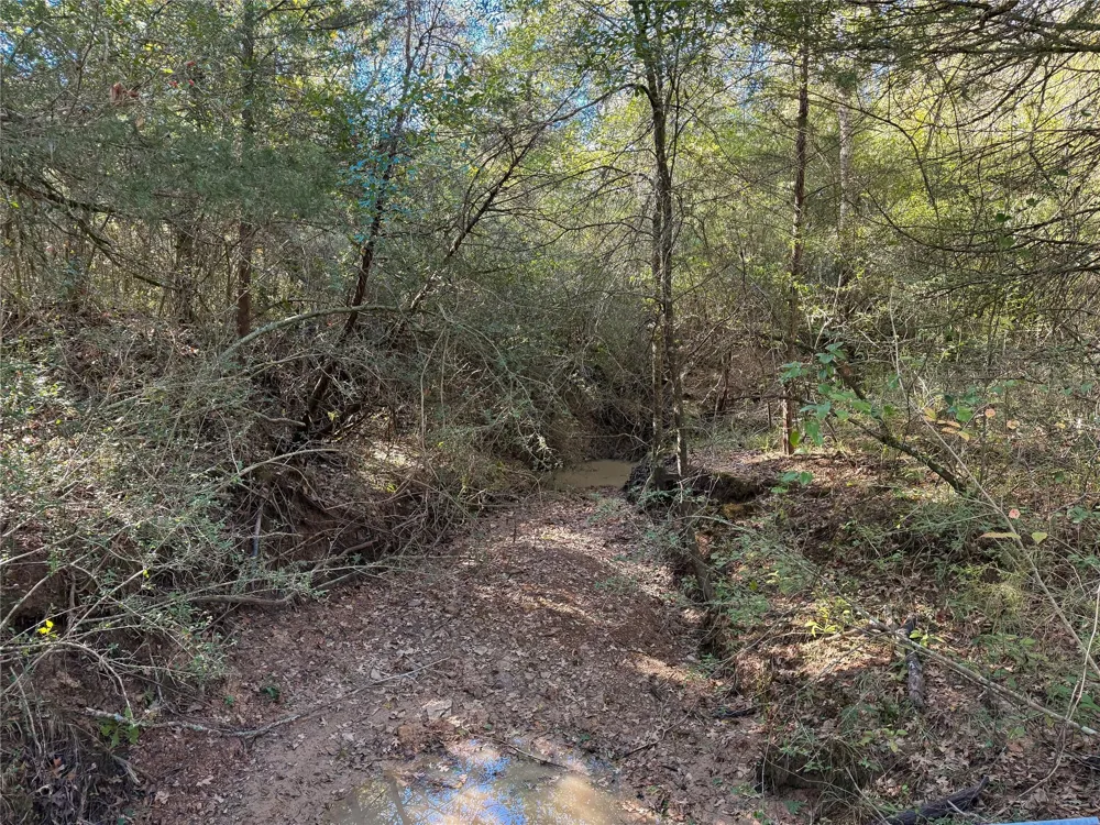 Cr 325 Jewett, TX 75846